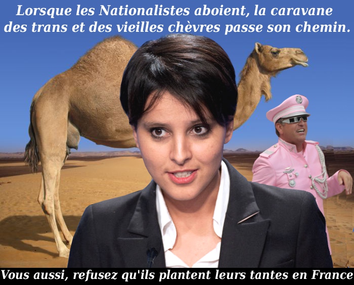Caravane_Transexuelle (700x564, 164Kb)