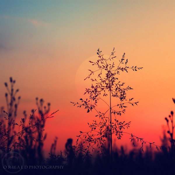fwTc_c68whQ (600x600, 26Kb)