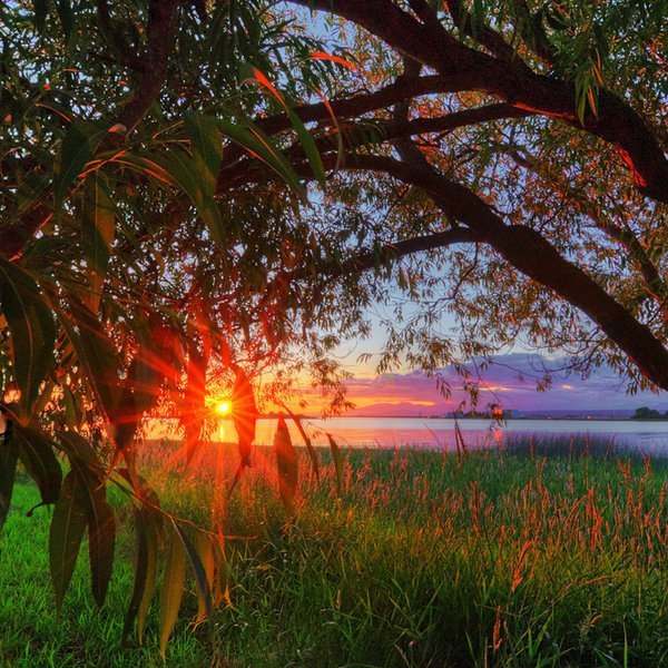 kWm22n8LvXg (600x600, 69Kb)