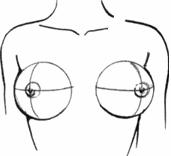 breast01-04 (171x156, 4Kb)