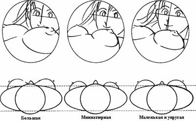 breast12-06 (400x248, 22Kb)