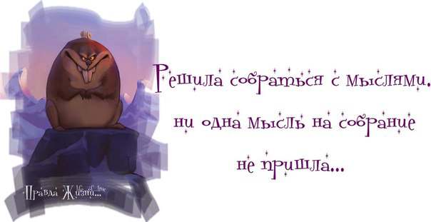 _alzdNh9KxI (604x311, 15Kb)