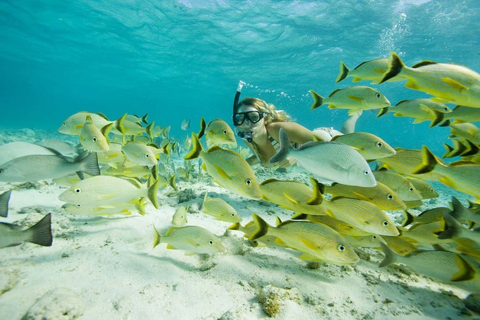 ambergris caye belize (2) (700x466, 108Kb)