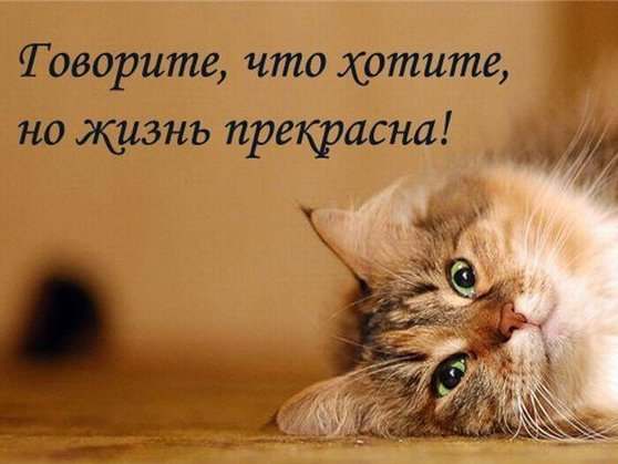 gbIT00MKyNE (558x419, 23Kb)