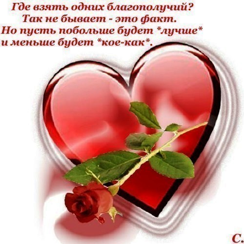    (500x500, 62Kb)