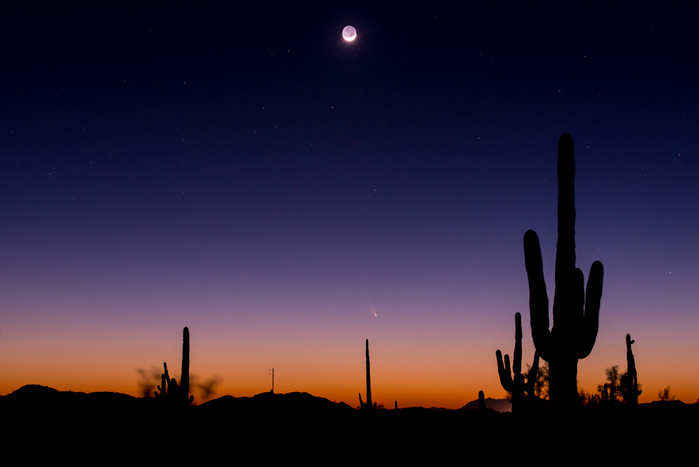 90420193365 (700x467, 136Kb)