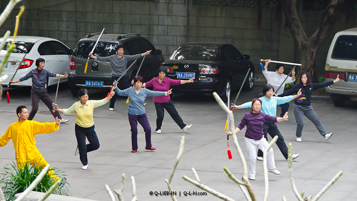 DSC_0161 (700x394, 310Kb)