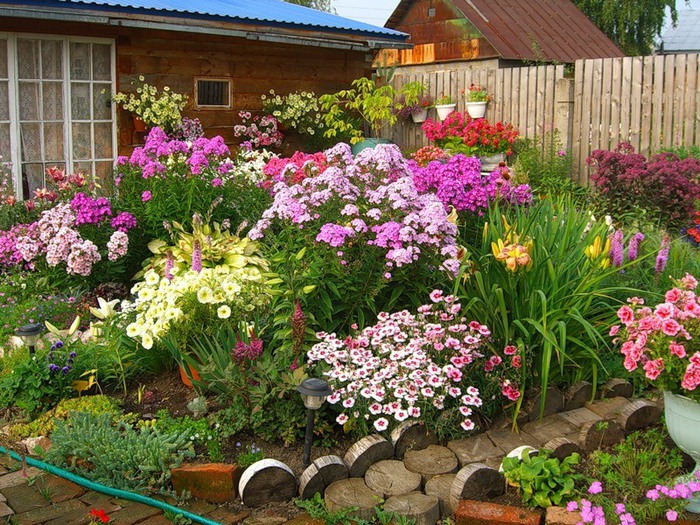 Цветники и клумбы своими руками на даче. Фото цветущее всё лето