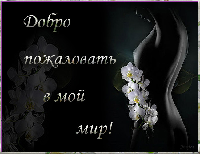 5146136_64565 (650x500, 77Kb)