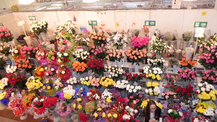 DSCN9407 (700x393, 282Kb)