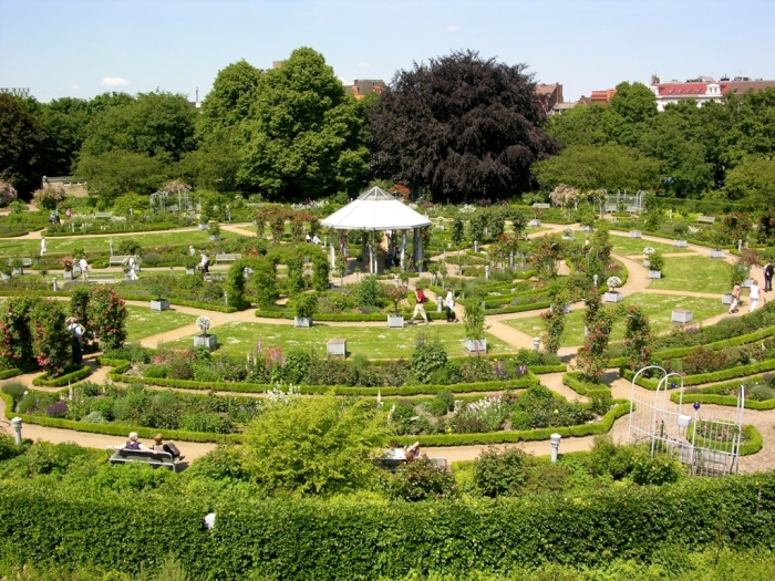 rosarium_hamburg_001 (700x525, 422Kb)