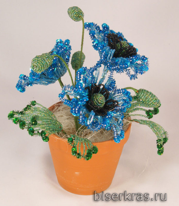 _________________4c4d285b4fe7e (608x700, 108Kb)