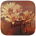 4494124_BeFunky_large4 (120x120, 38Kb)