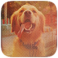 4494124_BeFunky_tumblr_mliw3ff6ZP1rk3b4no1_500_large (120x120, 38Kb)