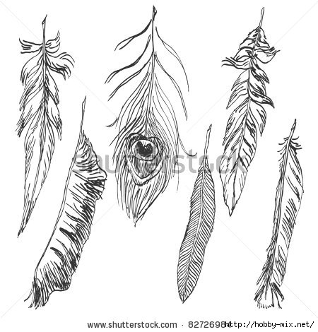 stock-vector-hand-drawn-feather-collection-82726984 (450x470, 113Kb)