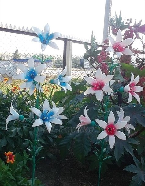 Украшаем сад цветами из пластиковых бутылок. Мастер-класс (10) (474x604, 183Kb)