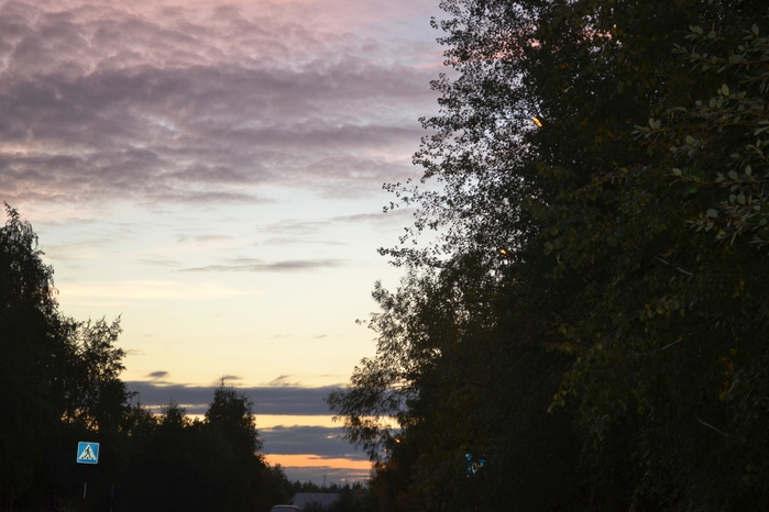 DSC_1010 (700x466, 230Kb)