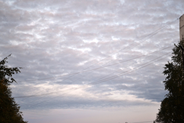 DSC_1012 (700x466, 201Kb)