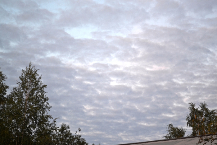 DSC_1014 (700x466, 209Kb)