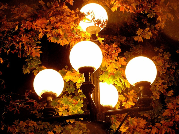 79145957_large_0_5b4c_715eb485_XL (700x524, 545Kb)