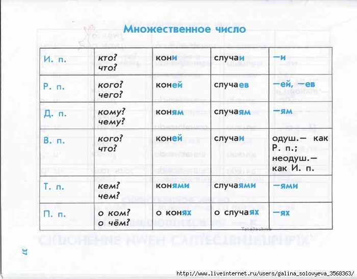 Множественное слово family. Множественное число существительных в русском языке. Множественное число в русском языке правило. Правило образования множественного числа в русском языке. Множественное число существительных в русском правило.