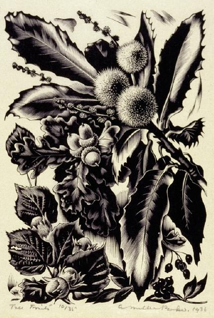 Parker (British, 1895-1980). Tree Fruits. 1936 (532x740, 269Kb)