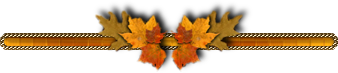 3869356_0_9b5aa_e4c72f6c_XL_jpg (338x73, 24Kb)