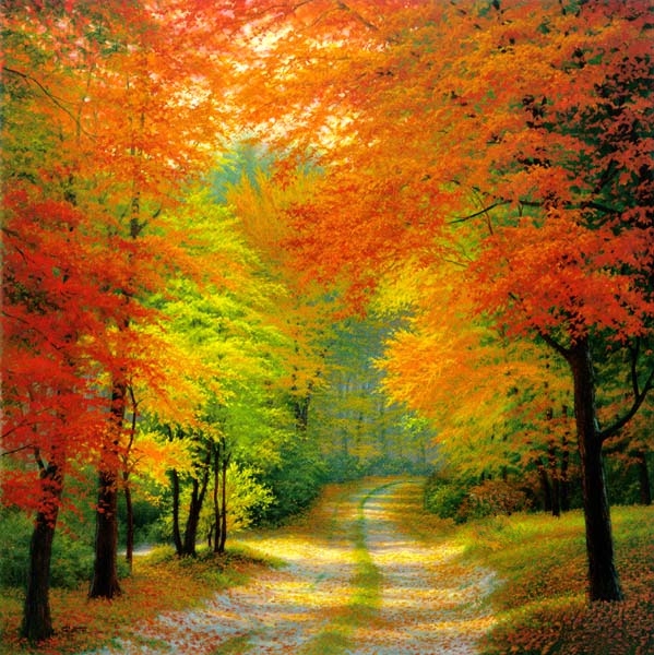 1_white_20-_20autumn_20trails (600x601, 277Kb)
