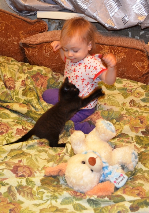 DSC_1035 (487x700, 309Kb)