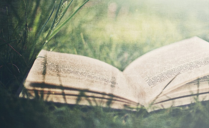 open-book-103823 (700x430, 103Kb)