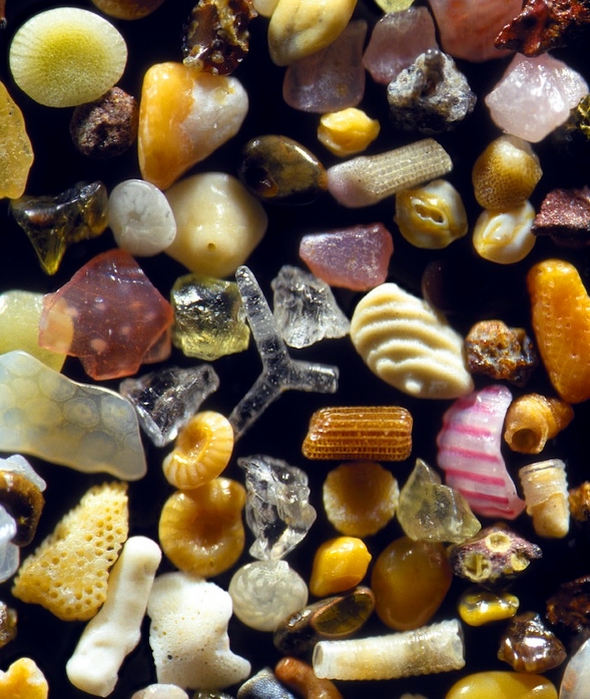 Magnified-Grains-of-Sand-3 (590x700, 333Kb)