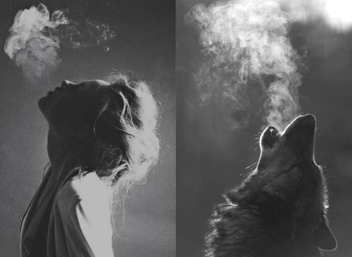 tumblr_lpb0jh1X8P1qk8vwro1_500_large (500x365, 18Kb)