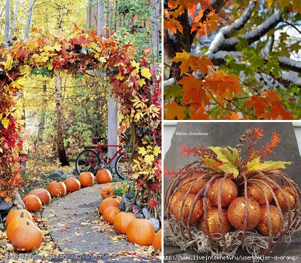 Осень украшения Изображения – скачать бесплатно на Freepik