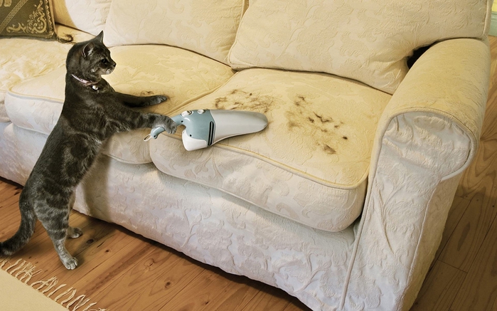 2757491_kisa (699x437, 232Kb)