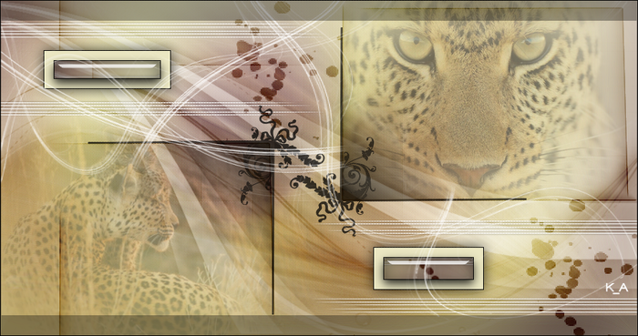 3713192_Cheetah1 (700x369, 429Kb)