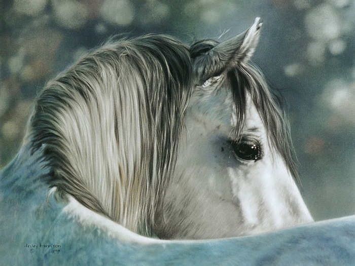 лесли (700x525, 134Kb)