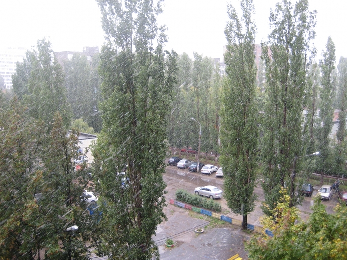 2824467_IMG_3377 (700x525, 341Kb)