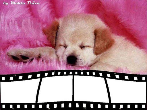 dog pink (512x384, 143Kb)