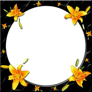 flores amarelas (320x320, 69Kb)