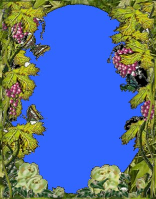 flores e uvas (313x400, 137Kb)