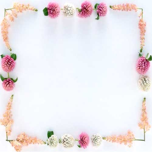 Flower13 (500x500, 110Kb)