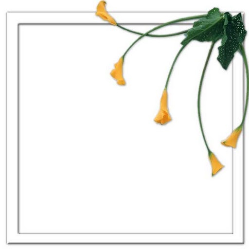 Flower16 (512x512, 67Kb)