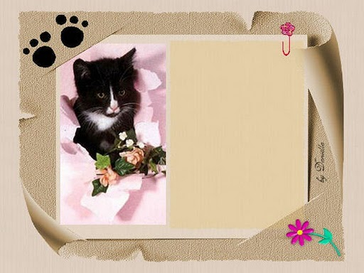 GATINHO PRETO (512x384, 151Kb)