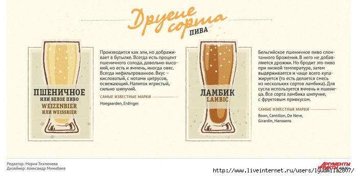 beer-infogr (700x344, 111Kb)