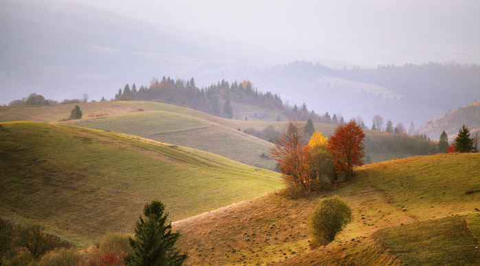 499017 (700x388, 322Kb)