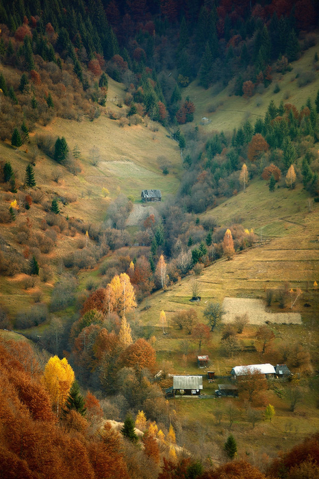 312008 (466x700, 480Kb)