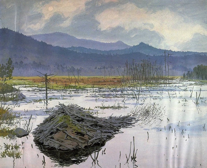 beaver-pond-1976 (700x568, 348Kb)