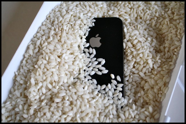 iPhone-Rice-650x435 (650x435, 87Kb)