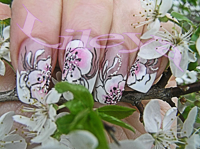 getImage (12) (640x478, 89Kb)