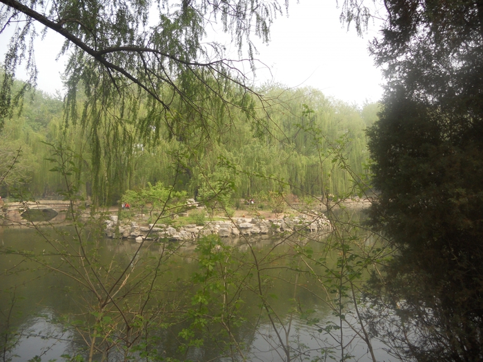 4752699_ki_750 (700x525, 328Kb)